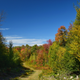 Illustration for article titled Fall Photos 1